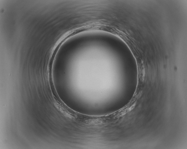 X0000080720100200612151209