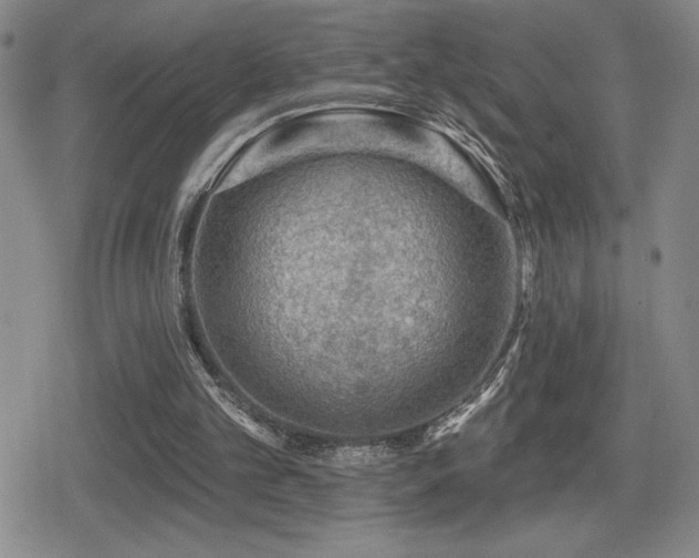 X0000080720101200612151209