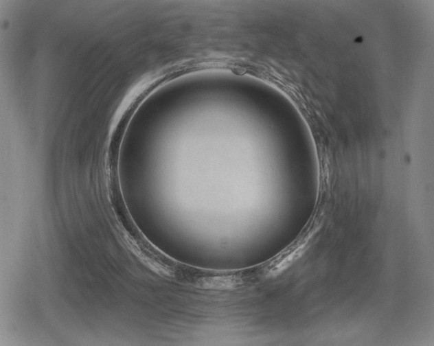 X0000080720102200612151209