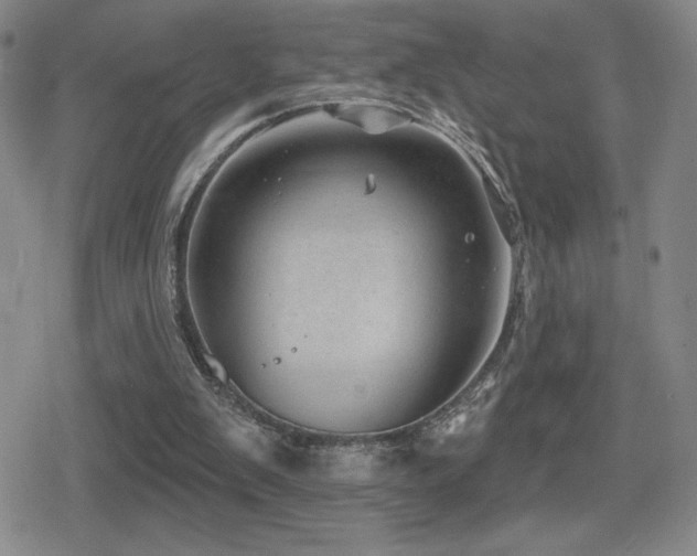 X0000080720103200612151209