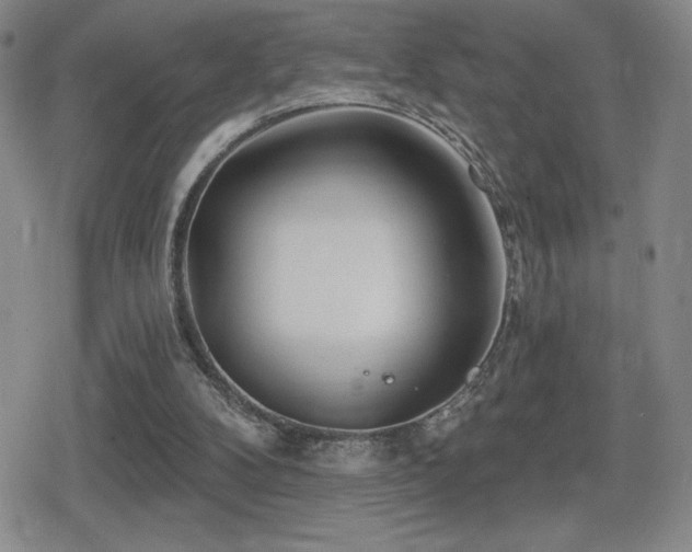 X0000080720104200612151209