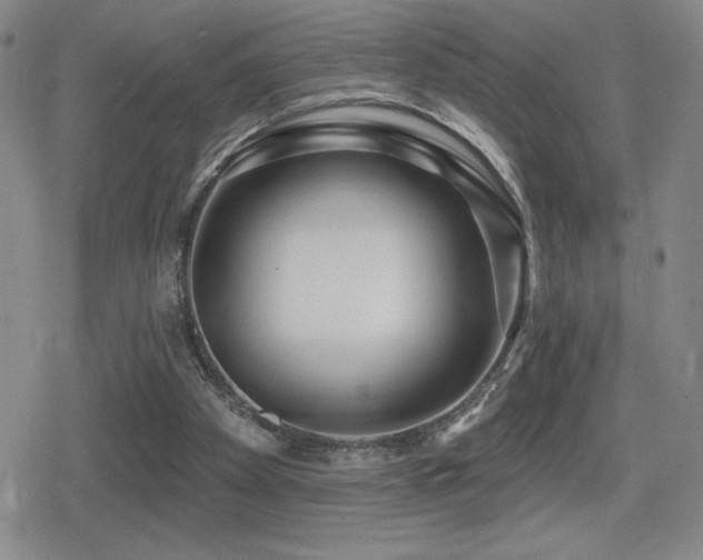 X0000080720105200612151209