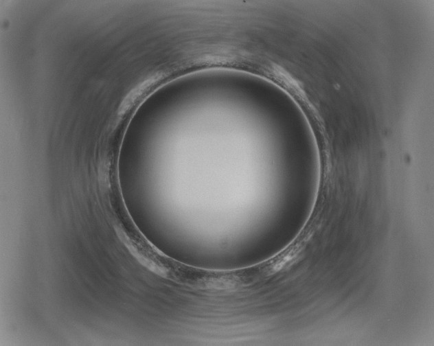 X0000080720106200612151209