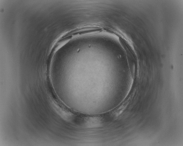 X0000080720107200612151209