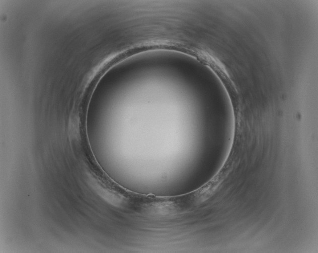 X0000080720108200612151209