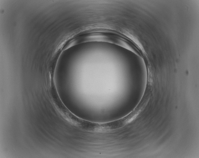 X0000080720109200612151209