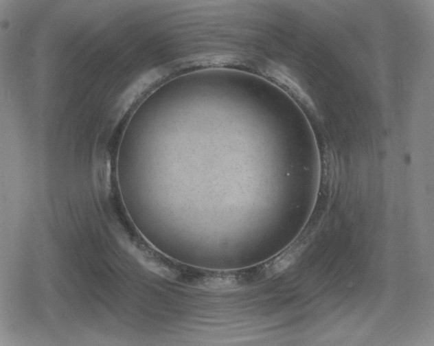 X0000080720110200612151209