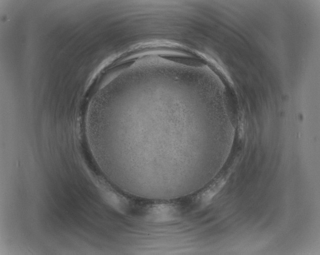 X0000080720111200612151209