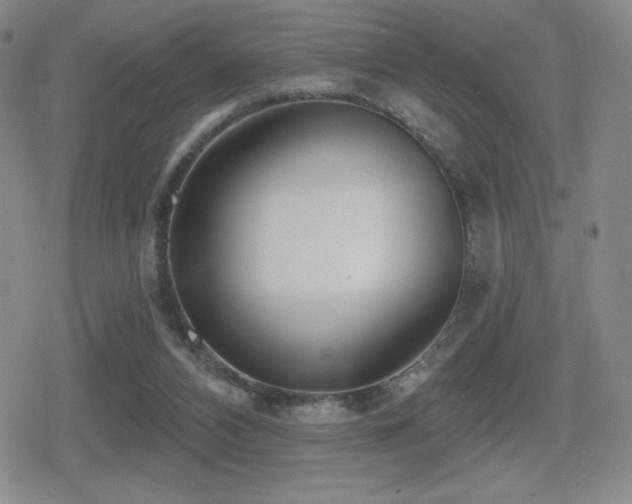 X0000080720112200612151209