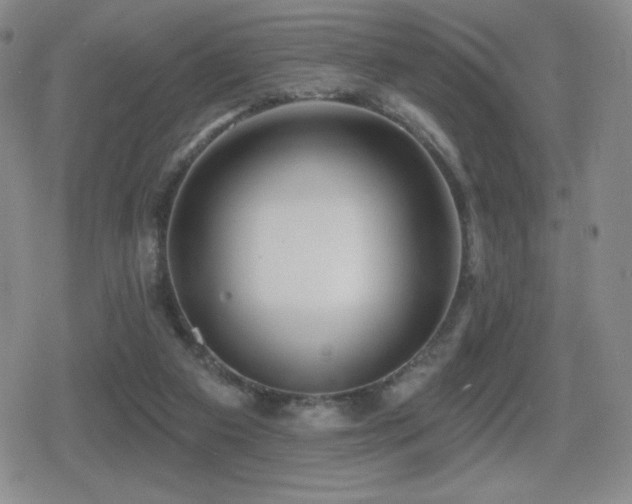 X0000080720113200612151209