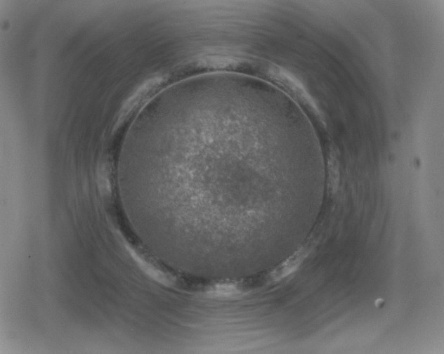 X0000080720114200612151209