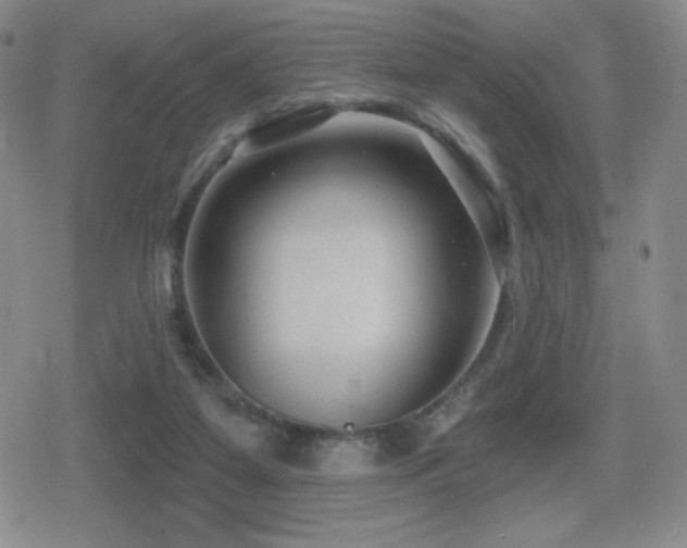 X0000080720115200612151209