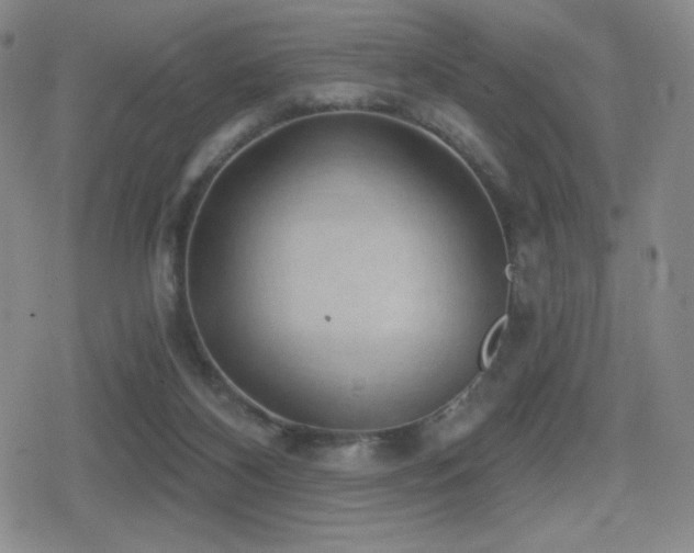 X0000080720116200612151209