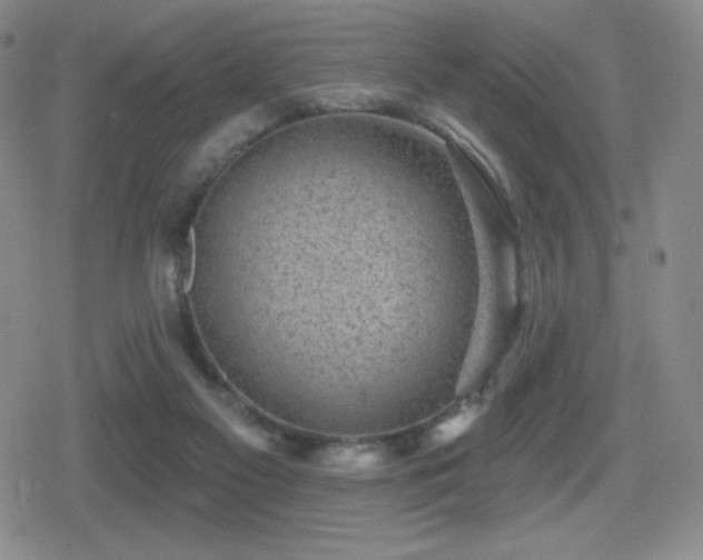 X0000080720117200612151209