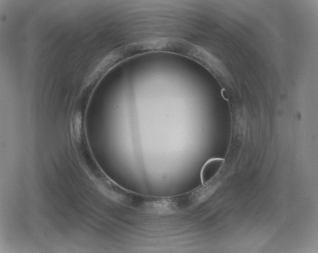 X0000080720118200612151208