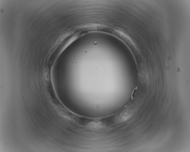 X0000080720119200612151208