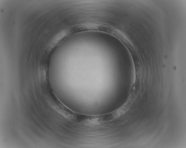 X0000080720120200612151208