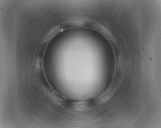 X0000080720122200612151208