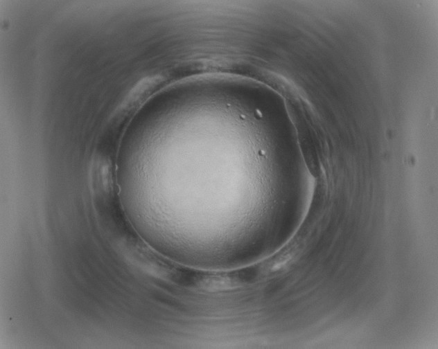 X0000080720123200612151208