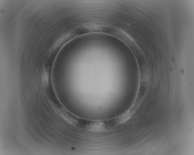 X0000080720124200612151208