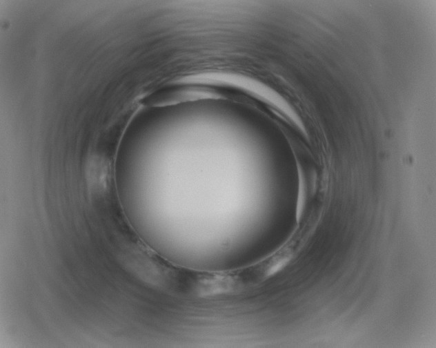 X0000080720125200612151208