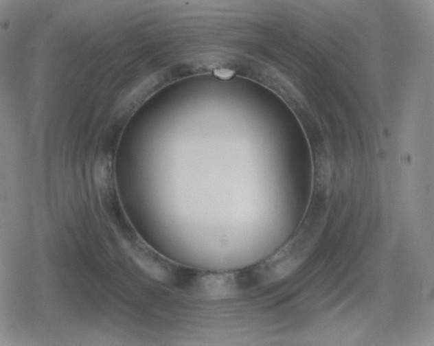 X0000080720126200612151208