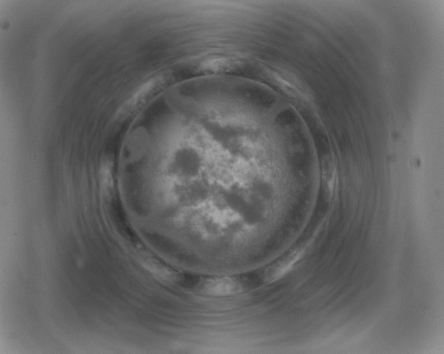 X0000080720127200612151208