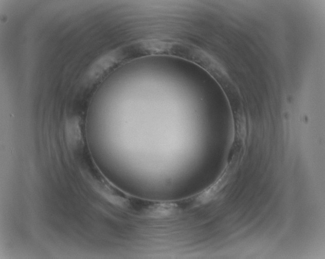 X0000080720128200612151208