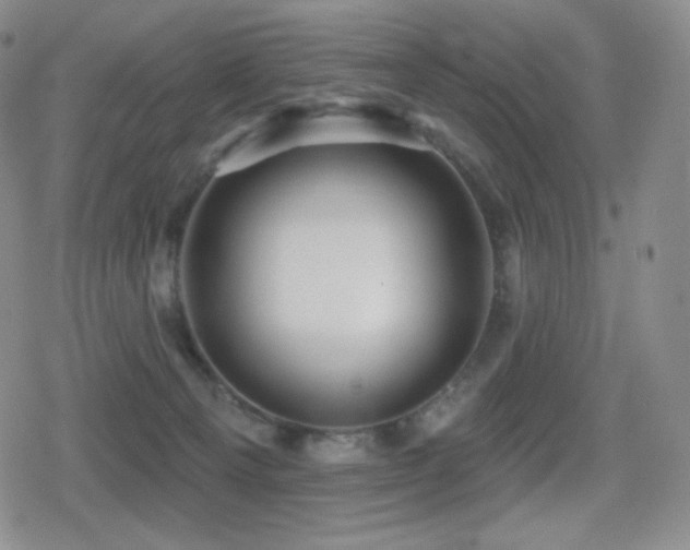 X0000080720129200612151208