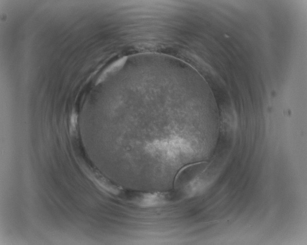 X0000080720130200612151208