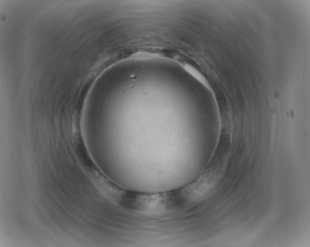 X0000080720131200612151208