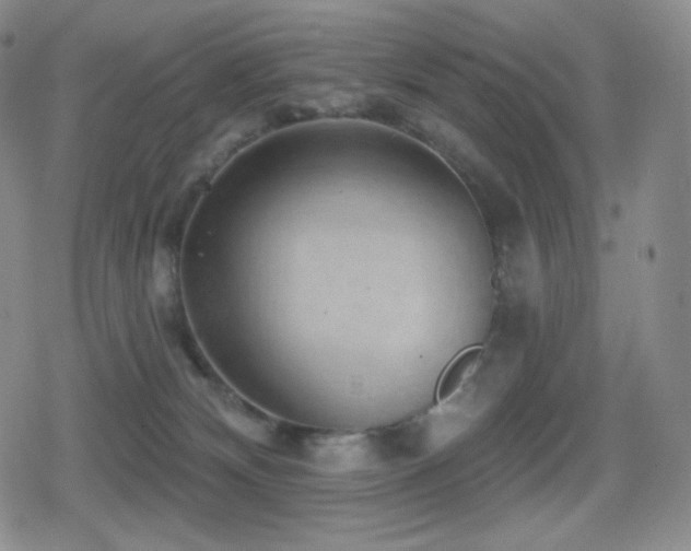 X0000080720132200612151208