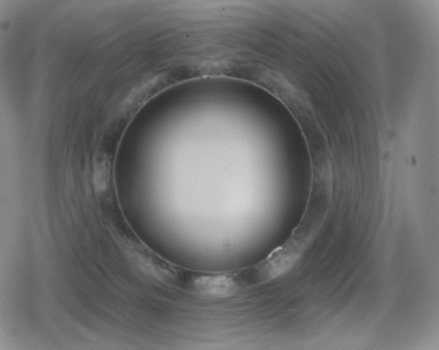 X0000080720133200612151208