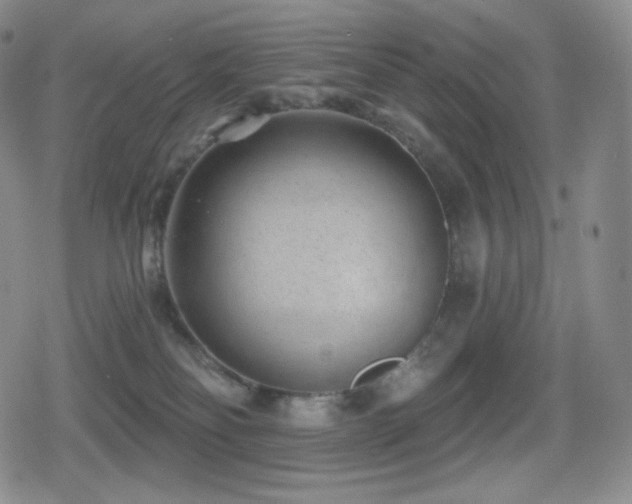 X0000080720134200612151208