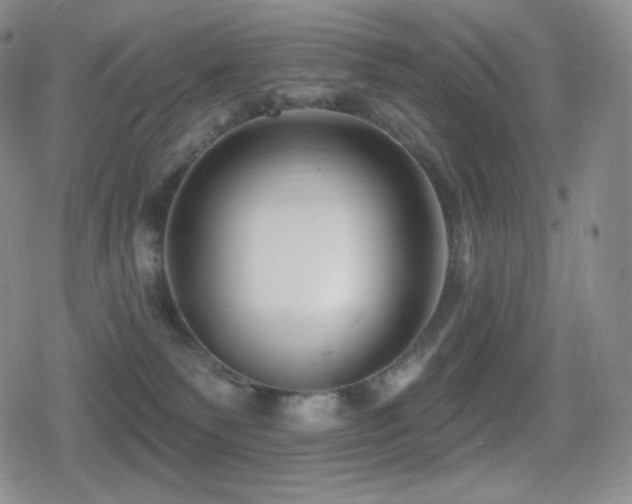 X0000080720135200612151208