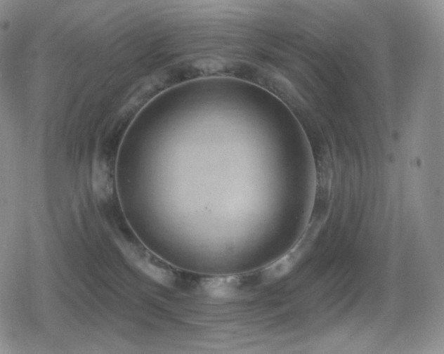 X0000080720136200612151208