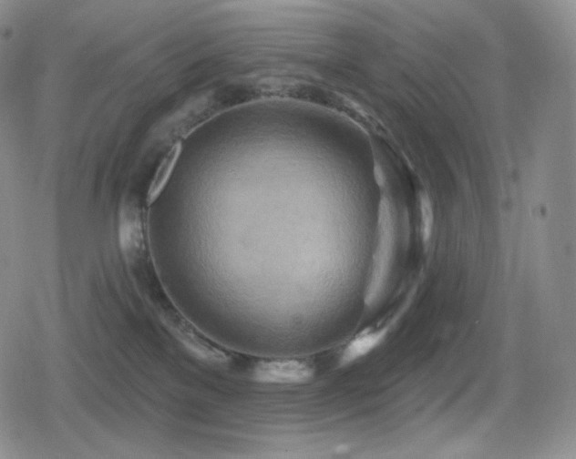 X0000080720137200612151208