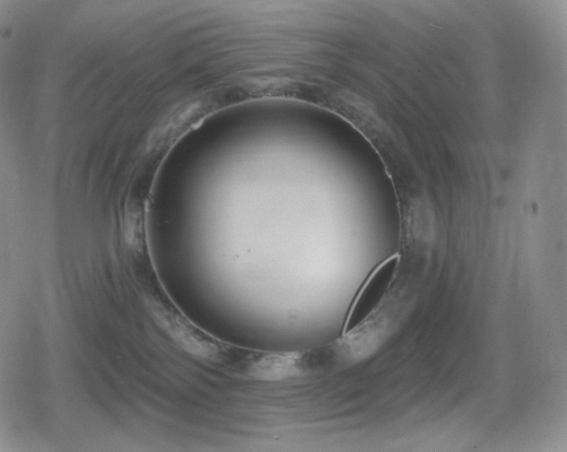 X0000080720138200612151208