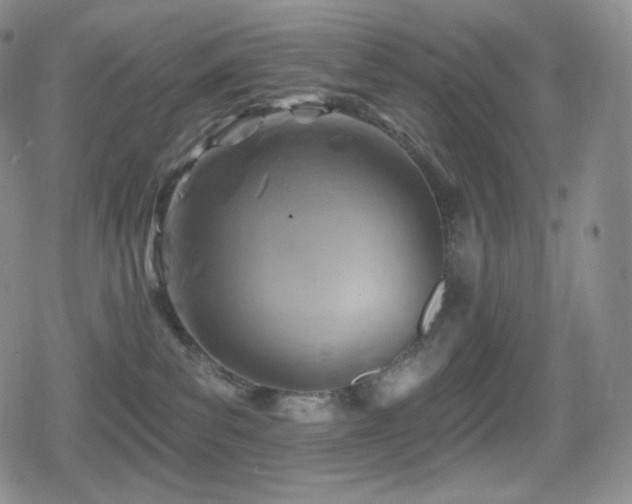 X0000080720139200612151208