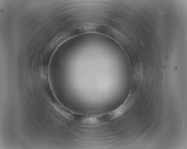 X0000080720140200612151208