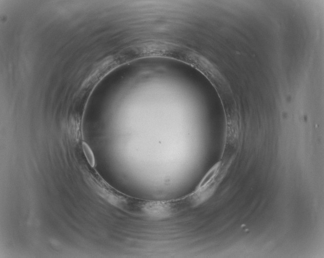 X0000080720142200612151208