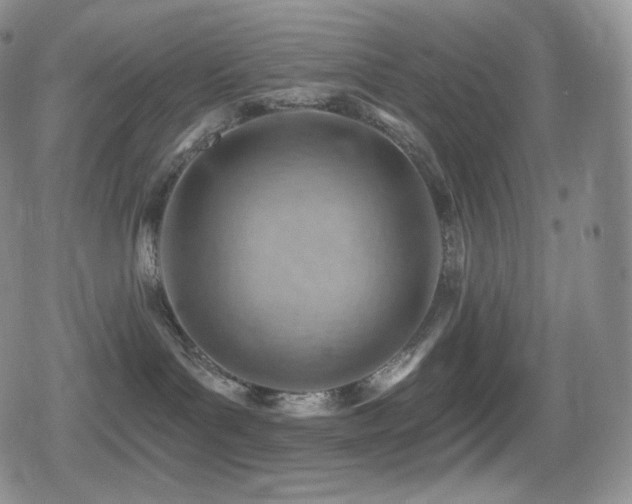 X0000080720143200612151208