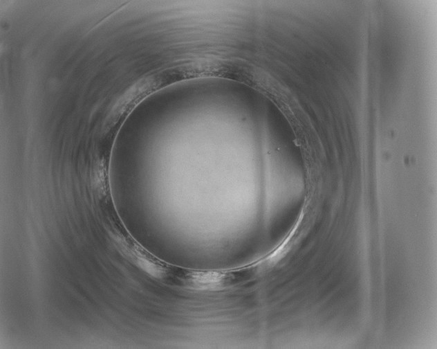 X0000080720144200612151208