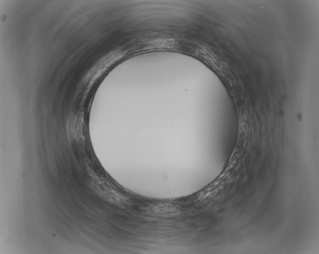 X0000080720146200612151207