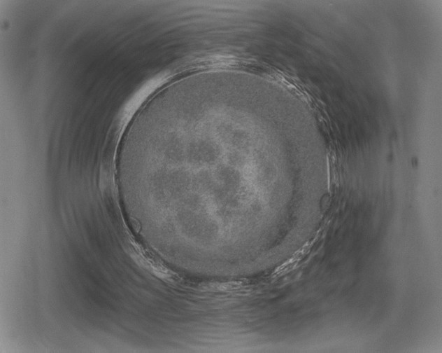 X0000080720147200612151207