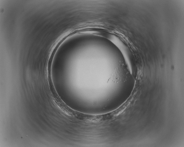 X0000080720148200612151207