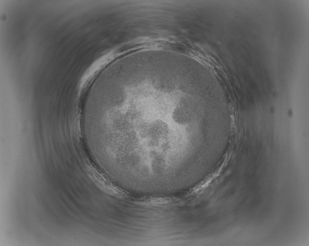 X0000080720149200612151207