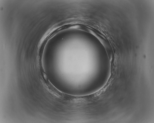 X0000080720150200612151207