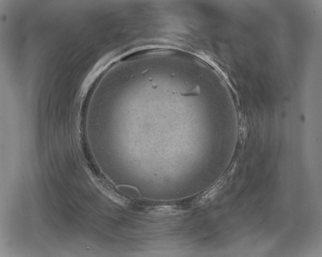 X0000080720151200612151207