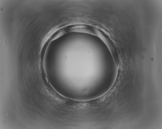 X0000080720152200612151207